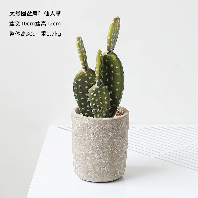 Small Indoor Desk Décor