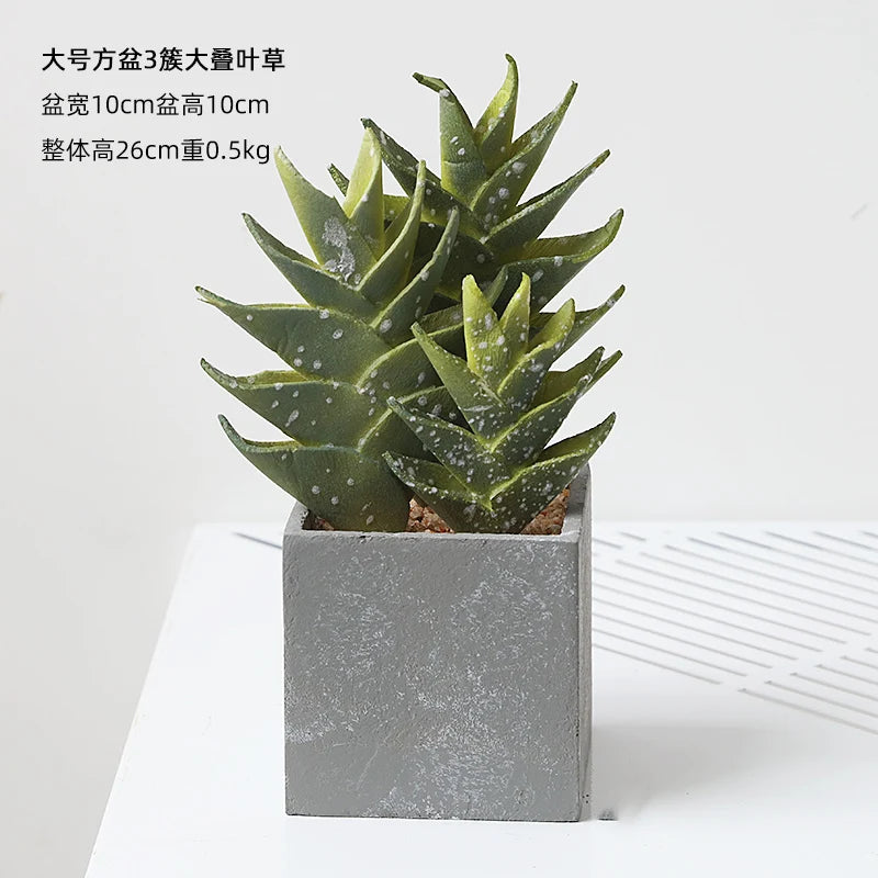 Small Indoor Desk Décor