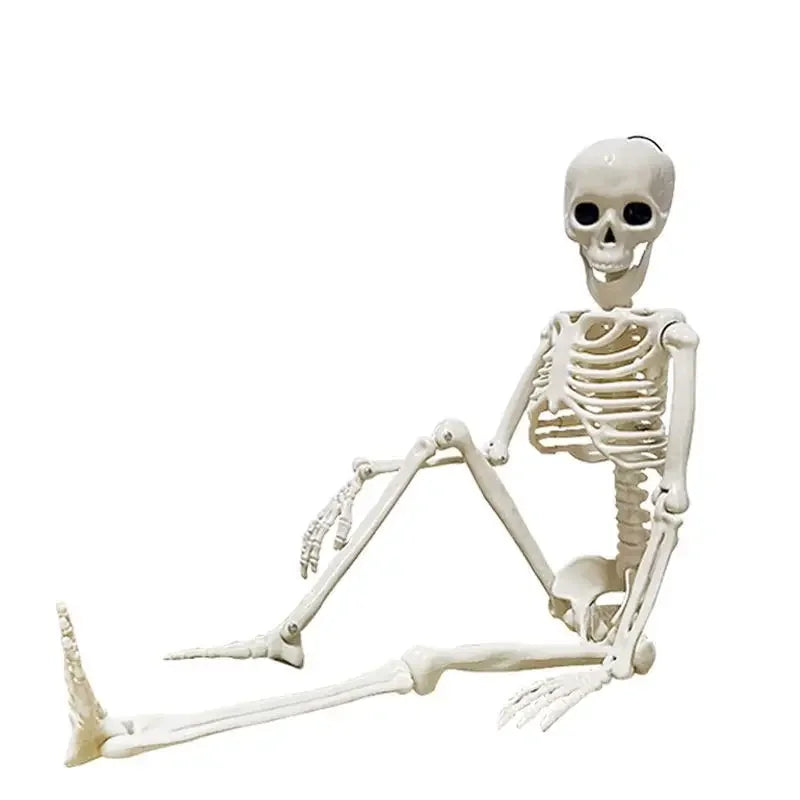 Movable Skeleton Skull & Bones