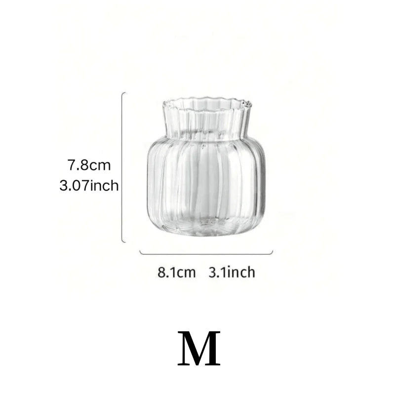 Nordic Glass Vases – Transparent Hydroponic Flower Containers
