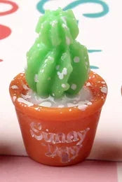 Mini Cactus Decor Set