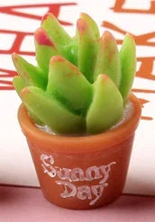 Mini Cactus Decor Set
