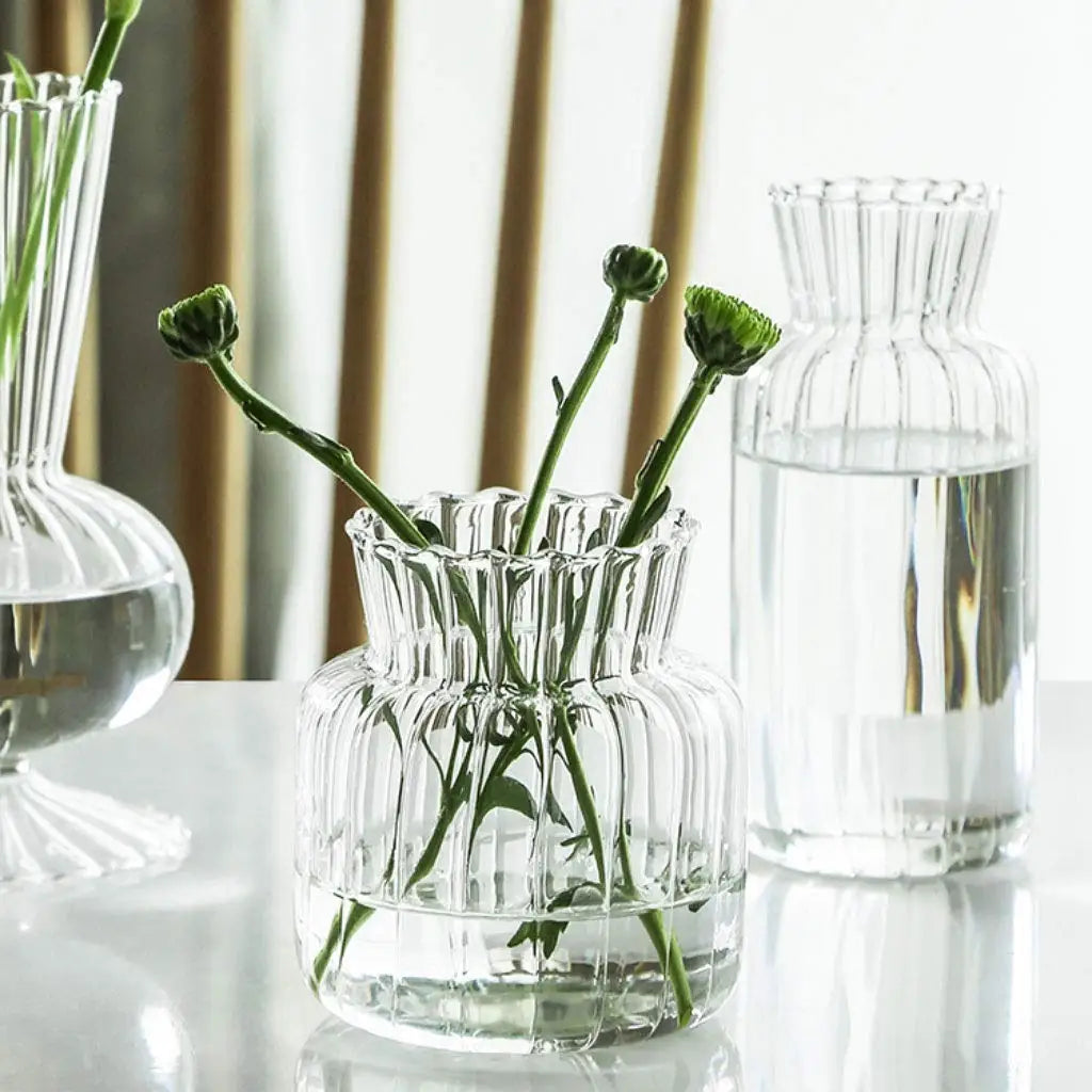 Nordic Glass Vases – Transparent Hydroponic Flower Containers