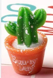 Mini Cactus Decor Set