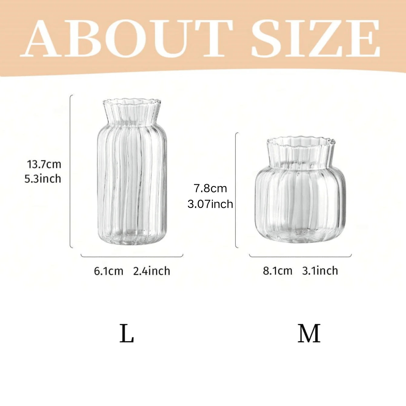 Nordic Glass Vases – Transparent Hydroponic Flower Containers