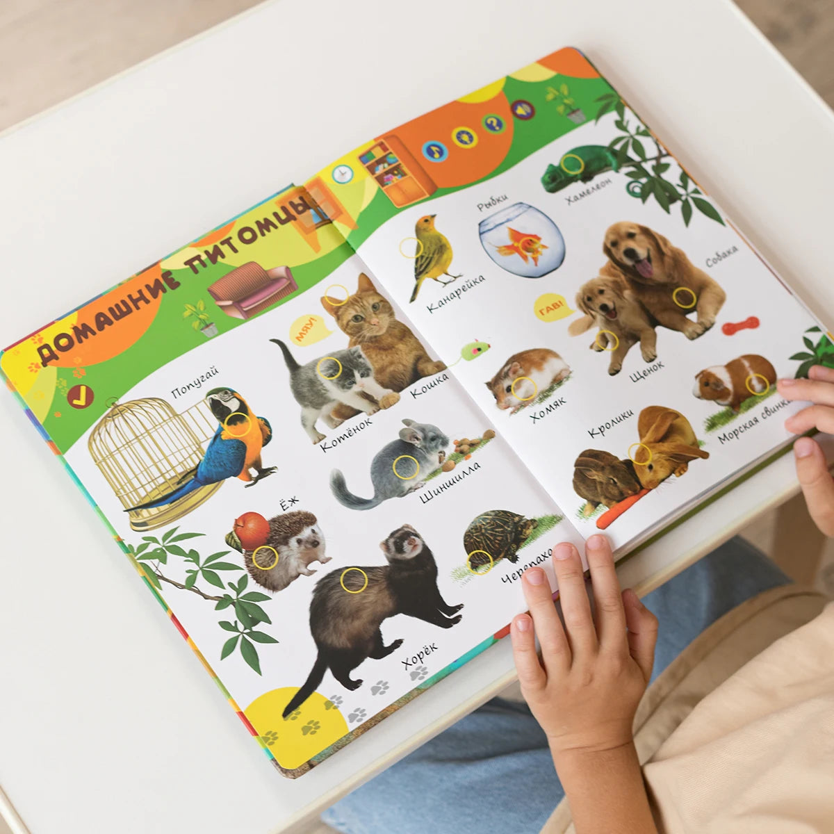 Children's Learning books Montessori Russian learning books educational books audiobooks 3 + kids gifts music books