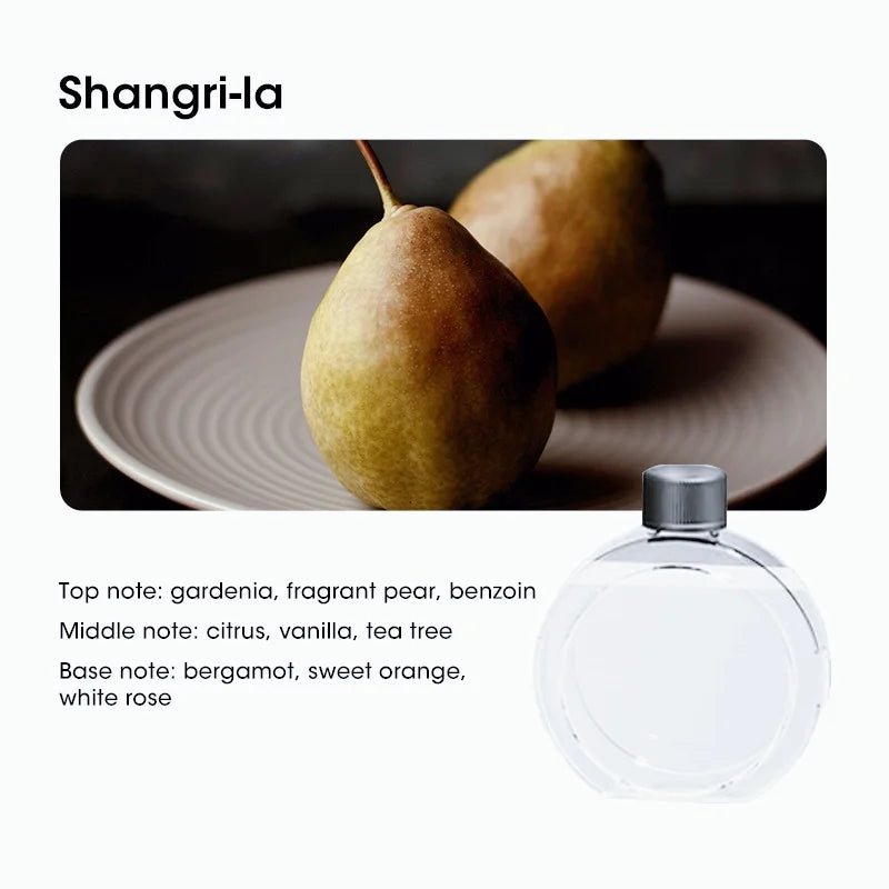 4-Speed Digital Aromatherapy Diffuser – Adjustable Mist, Deodorizer & Essential Oil Humidifier for Home/Office