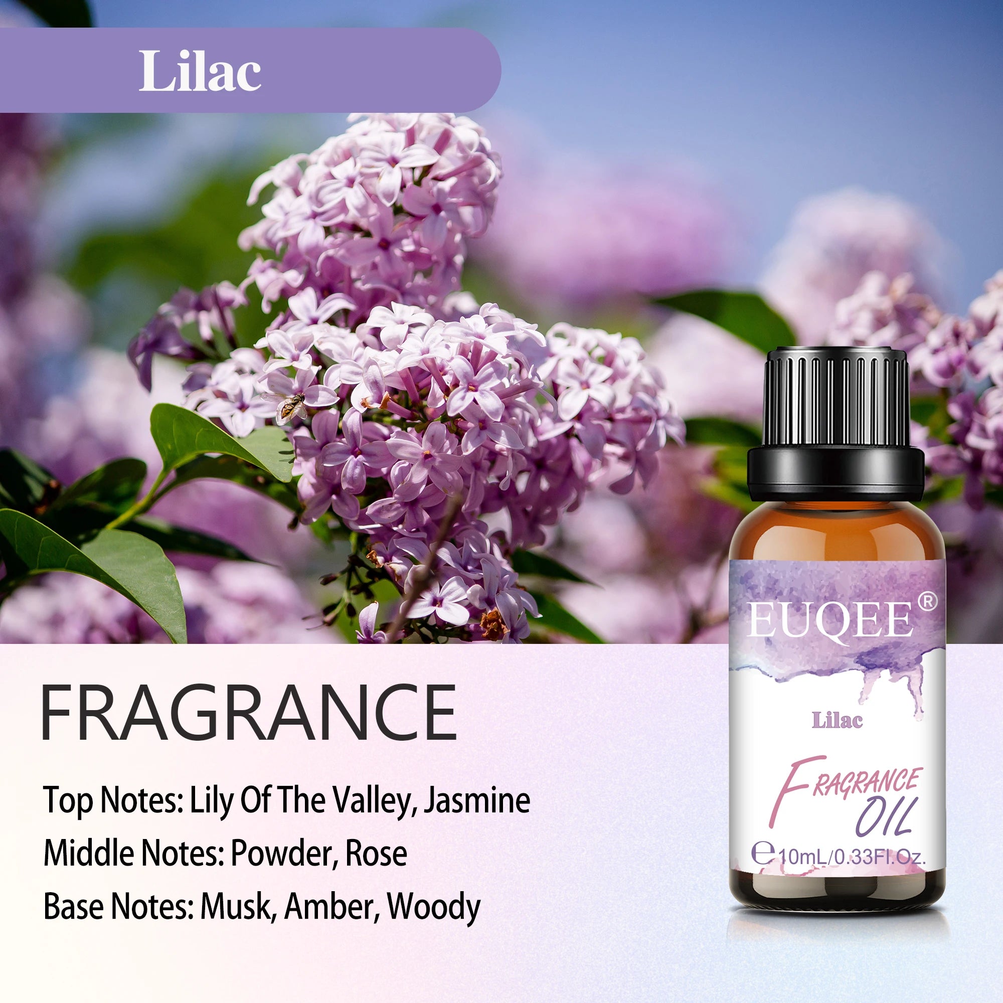 EUQEE Fragrance Oil for Diffusers and Candles