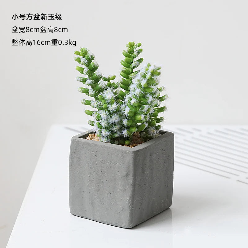 Small Indoor Desk Décor