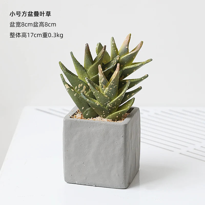 Small Indoor Desk Décor