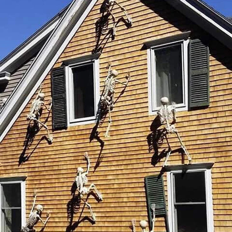 Movable Skeleton Skull & Bones