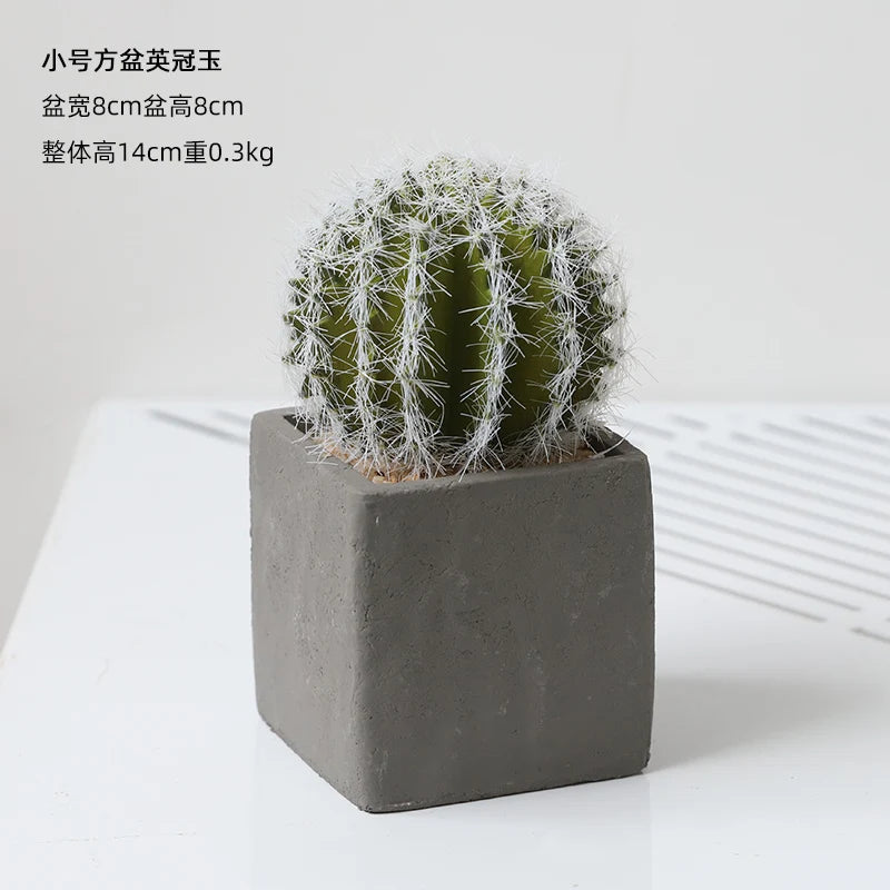 Small Indoor Desk Décor