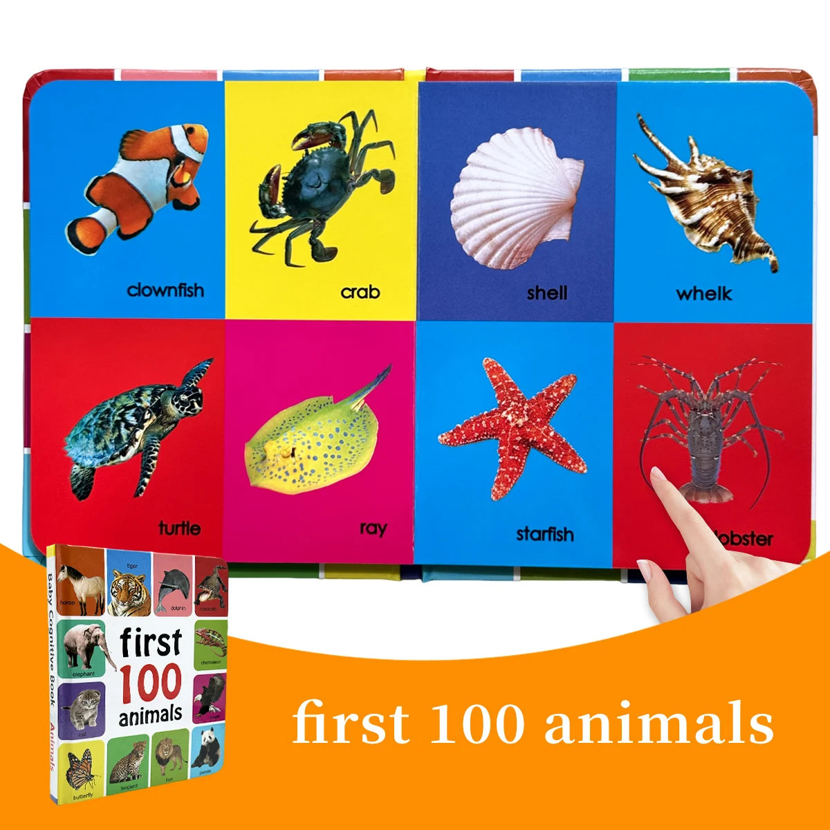 1-100 Animal Species Coloring & Learning Book